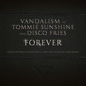Forever (Andy Van V8 Remix) artwork