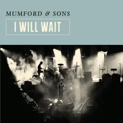 I Will Wait - Single - Mumford & Sons