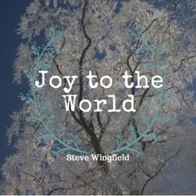 Joy to the World - Steve Wingfield