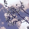 Colly - My Prayers