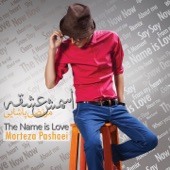 The Name Is Love artwork