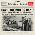 David Bromberg Band - The Blues, The Whole Blues and Nothing but the Blues