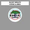 Stream & download Silent Breath - Single