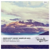 Perplexity Music Sampler #003 artwork