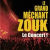 Le Grand Méchant Zouk: Le concert, 2007