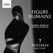 Figure Humaine - Liberte artwork