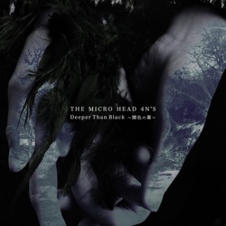 THE MICRO HEAD 4N'S - VOLCANATION