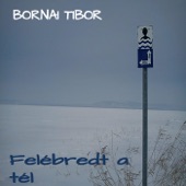 Tibor Bornai - Hogyha a télnek...