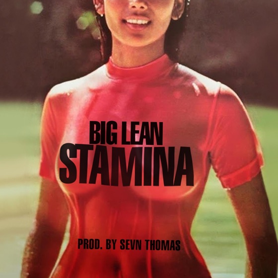 Cover artwork for Stamina