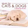 Music for Cats and Dogs - Calming Music for your Pets album lyrics, reviews, download