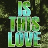 Is This Love (Dance Mix Instrumental) - Single