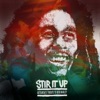 Stir It Up: Aotearoa’s Tribute To Bob Marley, 2016
