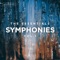 Symphony No. 2 in E Minor, Op. 27: II. Allegro molto artwork