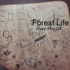 Forest Life - Hide and Seek