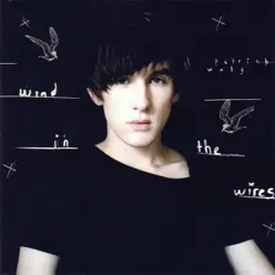 Wind in the Wires - EP - Patrick Wolf