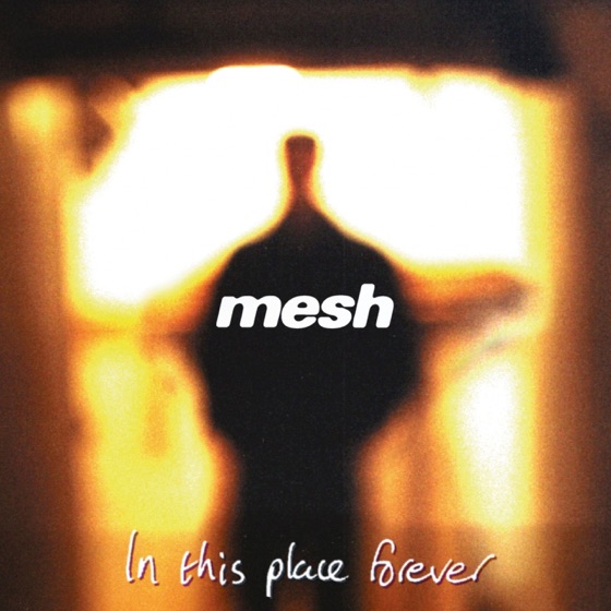 Cover artwork for You Didn't Want Me