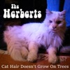 Cat Hair Doesn't Grow on Trees