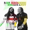 One by One (feat. Horace Andy) - Single