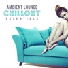 Ambient Lounge Chillout Essentials: Relaxing Instrumental Music for Lying to Sofa, Total Relax at Home, Lazy Time