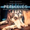 Ambiology Series: Pet Waves for Dogs - Barry Goldstein lyrics