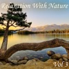 Relaxation With Nature, Vol. 3 artwork