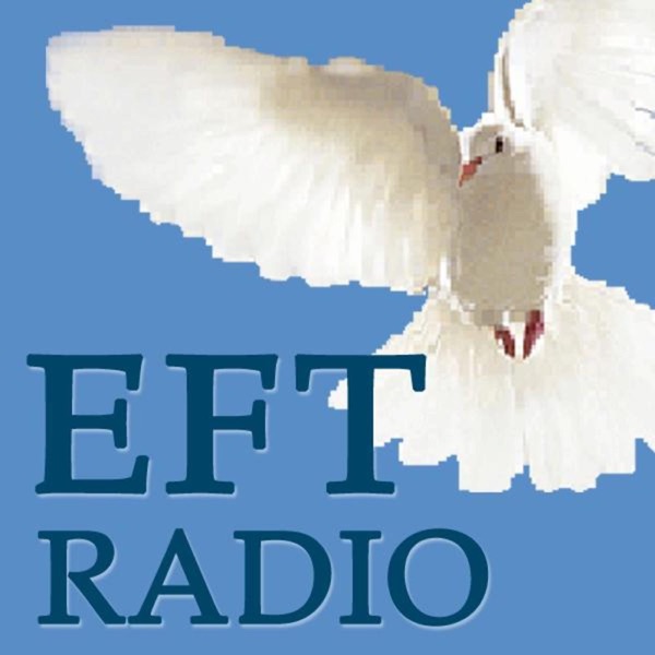 EFT Radio cover