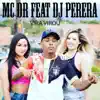 Vira Virou (feat. DJ Perera) - Single album lyrics, reviews, download