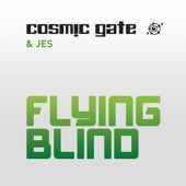 Flying Blind (Radio Edit) artwork