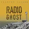 Radio Ghost album lyrics, reviews, download