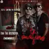 Stream & download Te Imagino (feat. Anonimus) - Single