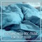 Serenity Spa Music Relaxation - Deep Sleep Maestro Sounds lyrics