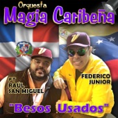 Besos Usados (feat. Raul San Miguel) artwork