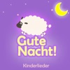 Gute Nacht (Schlaflieder, Babylieder Und Kinder Lieder Zum Mitsingen Und Einschlafen Als Kindermusik Auf Dem Klavier Und Piano)