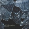 Steve Hamilton - Show