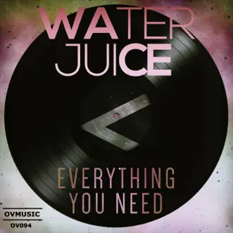 Everything You Need (Extended Mix) by Water Juice song reviws