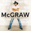 Tim McGraw - The Cowboy In Me