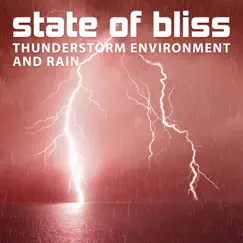 State of Bliss: Thunderstorm Environment and Rain, Exceptional & Healing Sounds of Nature for Zen Relaxation, Deep Sleep, Yoga Meditation by Healing Rain Sound Academy album reviews, ratings, credits