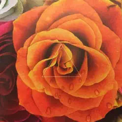 Albricias - Ed Wood Lovers