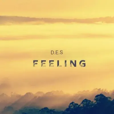 Feeling - Single - D.E.S