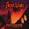 Incinerate - EP, 2016