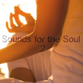 Sounds For the Soul 2 artwork