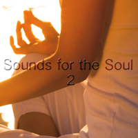 Yoga Music & Internal Yoga Music - Sounds For the Soul 2 artwork