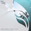 Catapult (Perrelli & Mankoff vs. BluSkay) - Single