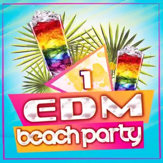 EDM Beach Party, Vol. 1 by Various Artists album reviews, ratings, credits