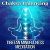 Chakra Balancing: Tibetan Mindfulness Meditation, Strong Body, Mind & Soul Connection, Secret Zen Garden, Relaxation with Nature Sounds