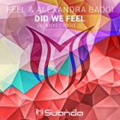 Did We Feel (Remixes, Pt. 2) - EP artwork