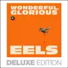 Wonderful, Glorious (Deluxe Edition) album lyrics, reviews, download