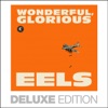 Wonderful, Glorious (Deluxe Edition)