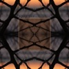 Maria durch ein Dornwald ging (feat. Daniel Sans) - Single