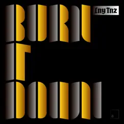 Burn It Down - Single by LNY TNZ album reviews, ratings, credits